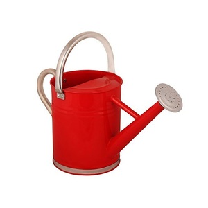 <b>Top</b> Selling Customization Handmade Garden Products Sky Blue Watering Can Gardening and Watering Plants Customized Size - Product Image 1