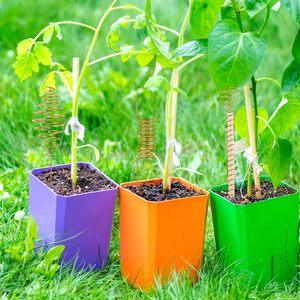 Bâtons d'électroculture en cuivre traditionnels pour la croissance des plantes de jardin biologique, à vendre à l'exportation à prix économique - Product Image 6