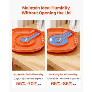 Incubateur automatique à 12 œufs avec contrôle de la température et de l'humidité, fenêtre transparente à 360°, modèle pour l'éclosion de poussins/canards à la maison ou à la ferme - Product Image 3