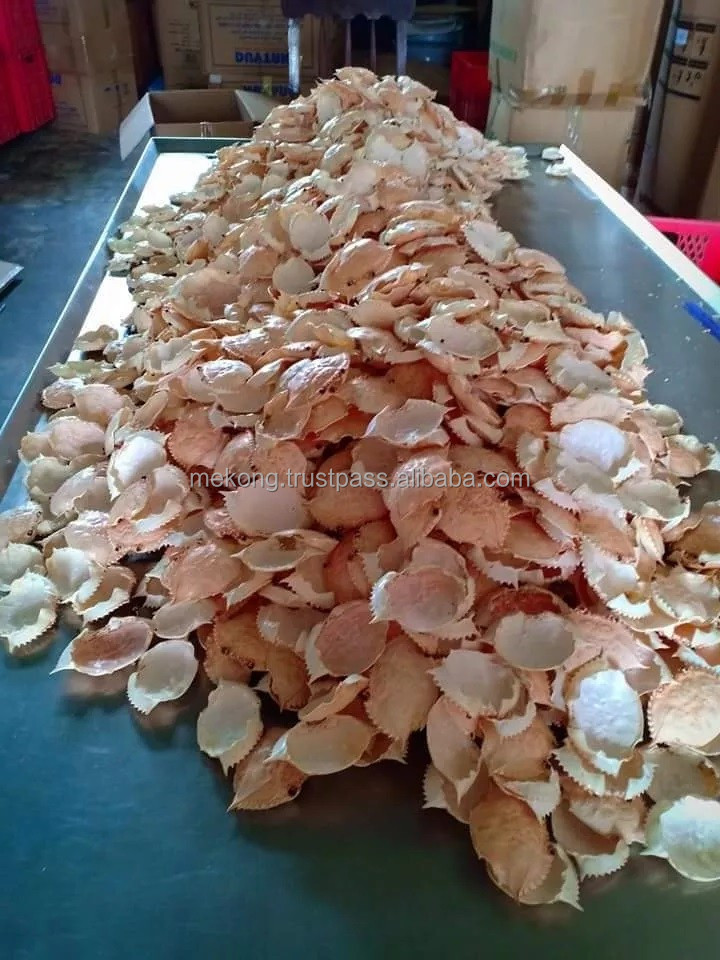 Best Price Clean Crab Shell For Seafood Restaurant From Vietnam