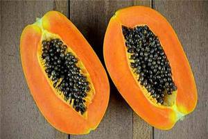 มะละกอแช่แข็ง100% ผลไม้สดเพื่อสุขภาพจากเวียดนาม - Product Image 4