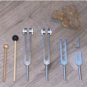 Juego de diapones Mars International Basics con 2 diapones con peso y 2 sin peso - Product Image 5