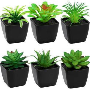 Set di 6 Piccole Piante Succulente Artificiali Realistiche in Vasi Neri per Decorazione Ufficio, Scrivania, Camera da Letto, Piante Finte per Decorazioni Casa - Product Image 1
