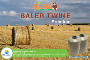 Cuerda de PE de embalaje de plátano de gran tamaño de alta calidad, fabricante de Vietnam, Exportación para agricultura, invernaderos, hoja de PC - Product Image 4