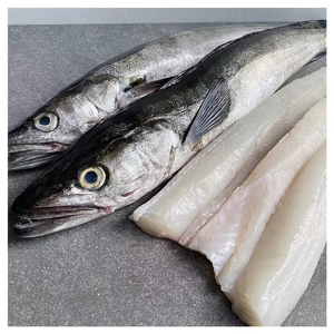 Stock Disponible de Pescado Hake Congelado/ Filete de Hake Congelado - Product Image 3