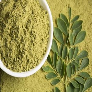 Poudre de feuilles de Moringa de haute qualité pour applications alimentaires commerciales, poudre végétale naturelle pour la distribution et l'emballage en gros - Product Image 4