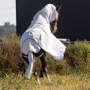 Couverture d'hiver imperméable de haute qualité pour chevaux, modèle standard, personnalisable pour fournisseurs équestres - Product Image 6