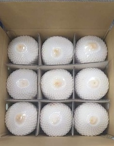 น้ำมะพร้าวแช่แข็งพรีเมียมจากมะพร้าวอ่อนสด เหมาะสำหรับทำขนมหวาน ไอศกรีม และส่งออกจำนวนมากทั่วโลก - Product Image 6