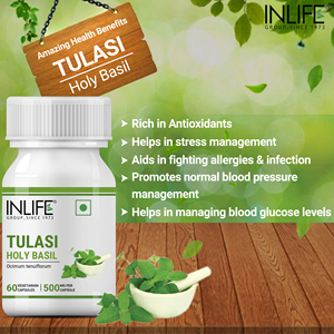 Cápsulas de Extracto de Tulsi 500mg, Extracto Botánico Herbal Puro de Ocimum Sanctum (Basil de la India), 60 Cápsulas Vegetarianas - Product Image 2
