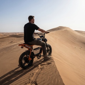 Bicicleta Eléctrica Naranja Resistente con Sistema de Doble Suspensión, Bicicleta de Neumáticos Anchos para Aventuras en <span class=keywords><strong>Dunas</strong></span> de Arena del Desierto - Product Image 3