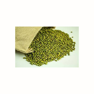 Haricots de bambou verts de haute qualité pour l'industrie alimentaire – Produit fiable en vrac - Product Image 6