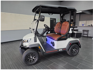 Ventes Premium de voiturettes de golf 4 places 72V 48V à vendre - Product Image 3