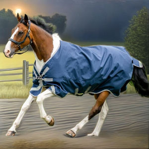 Manta para Caballo de Lujo OEM, Tejido Oxford 600D, Transpirable, Relleno de Algodón, Resistente a Desgarros, Herrajes de Acero Inoxidable - Product Image 1