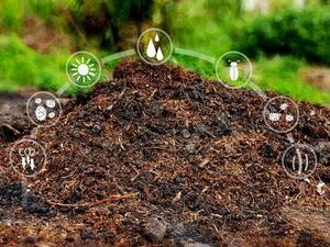 Arya Digital Indian Organic <b>Cow</b> Dung Powder Natural Fertilizer 99% Natural <b>Cow</b> Manure Agriculture Gardening Compost Soil - Product Image 4