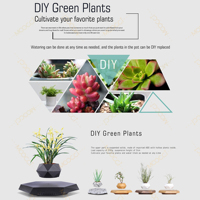 Pot de Fleur Magnétique Flottant Lévitant Intelligent Personnalisé de Haute Qualité pour Décoration d'Intérieur Moderne de Jardin et Succulentes