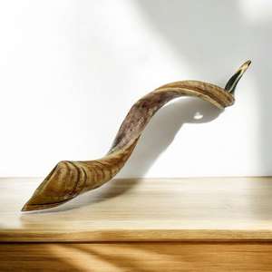 Cuerno de Shofar Kosher Pulido |   Corneta Religiosa Real Touch de Uttar Pradesh |   Chofar Judío - Product Image 1