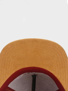 Gorra de Béisbol de 5 Paneles de Color Sólido con Estampado Puff, Unisex, Personalización Completa, Ligera, 100% Algodón, Hecha en Pakistán - Product Image 3