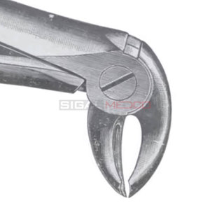 Fig. 15 Pinces d'extraction dentaire manuelles allemandes en acier inoxydable à dents de différentes tailles, instruments dentaires, prix de gros, fournisseur en gros - Product Image 2