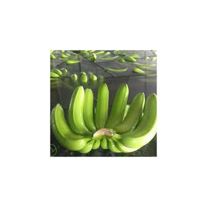 Bananes vertes Cavendish vietnamiennes de qualité supérieure, fraîches, de qualité 1, naturelles, douces et sucrées - Product Image 2