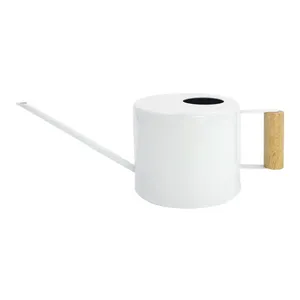 Arrosoir en métal durable pour jardiniers, pour l'arrosage profond des arbres en pot et la promotion d'une croissance saine des racines, moderne - Product Image 1
