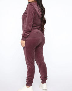 Ensemble de survêtement rétro en velours, veste à capuche et pantalon large, style sportif glamour, confortable pour l'hiver, deux pièces, doublure polaire unie, séchage rapide - Product Image 2