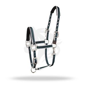 Harnais pour cheval en nylon rayé avec rembourrage, collier réglable avec quincaillerie métallique - Product Image 2