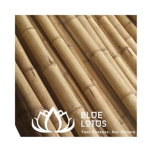 เสาไม้ไผ่คุณภาพสูงขายดีที่สุด สำหรับงานก่อสร้างทางการเกษตร - Product Image 1