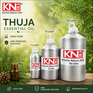 Aceite Esencial de Thuja de Grado Industrial (Thuja occidentalis), Fabricante a Granel, Certificado Orgánico, Grado Cosmético, Exportador Global - Product Image 6
