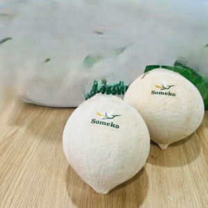 มะพร้าวสดขายส่งจากเวียดนามสำหรับส่งออกให้ซูเปอร์มาร์เก็ตและธุรกิจน้ำอัดลมพร้อมน้ำมะพร้าวหวาน - Product Image 4