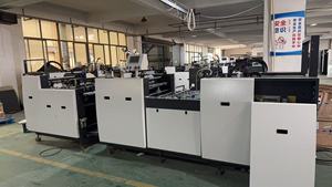 Macchina Automatica per Stampa Olografica su Carta e Applicazione di Strisce Olografiche - Product Image 2