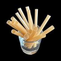 Pailles à boire jetables biodégradables naturelles de canne à sucre paille bio écologique