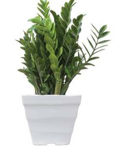 Pot carré de vague - Product Image 5