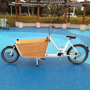 Vélo cargo électrique 36V avec cadre en aluminium, moteur sans balais <span class=keywords><strong>et</strong></span> batterie au lithium, grande capacité, pour usage extérieur - Product Image 3