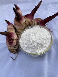 Best Quality Arrowroot Starch <b>Selling</b> Factory 2020 with Competitive Price in Vietnam - Product Image 2