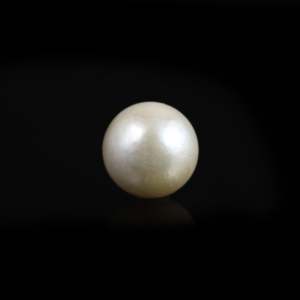 Perle de culture d'eau douce naturelle de qualité AAAA, 9,1 carats, forme bouton, pierre précieuse en vrac pour bijoux fins - Product Image 1