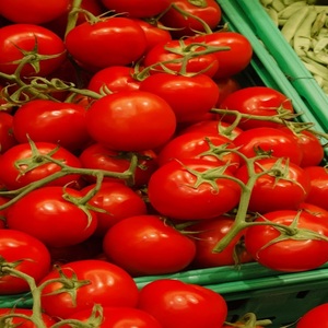 Tomates Rojos Roma Frescos de Primera Calidad, 15 kg, del Reino Unido, al Mejor Precio - Product Image 2