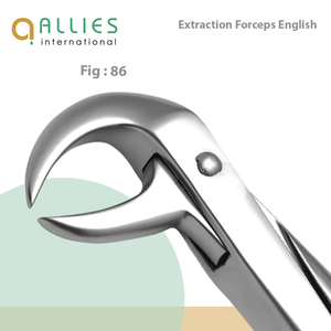 Fournisseur de forceps d'extraction dentaire ODM, instruments chirurgicaux en gros, forceps d'extraction dentaire de qualité supérieure - Product Image 3