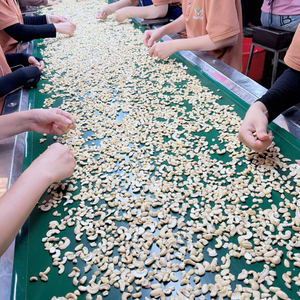 Santigo Cashew <b>Nuts</b> Kaju Broken Kaju In Bulk Custom Packaging <b>Kernel</b> Cashew <b>Nuts</b> - Product Image 6