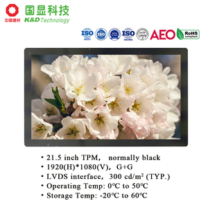 KD 21.5 "TFT IPS màn hình <span class=keywords><strong>LCD</strong></span> Panel với 89/89/89/89 góc nhìn 99% NTSC 14ms Thời gian đáp ứng LVDS giao diện - Product Image 2