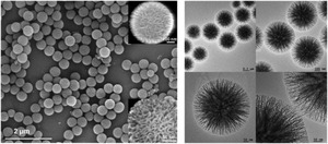 Nano Silica Liquid Biological Fertilizer 99% Purity for Soil Application and Excellent Results - Product Image 2