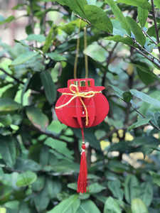 Fábrica Ofrece Farolillos de Seda de Bambú Hoi Baratos, Farolillos de Seda Tradicionales Vietnamitas con Logotipo Personalizado para Bodas, Vietnam - Product Image 3