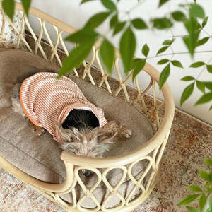 Wholesale Curved Rattan Pet Bed Cheap Price Handwoven Luxury <b>Dog</b> <b>Sofa</b> Furniture Sustainable Manufacturer Direct Bulk Sale - Product Image 5