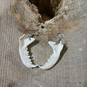 Pendientes Góticos de Hueso, Ecológicos, Pulidos, Artesanía Natural - Product Image 1