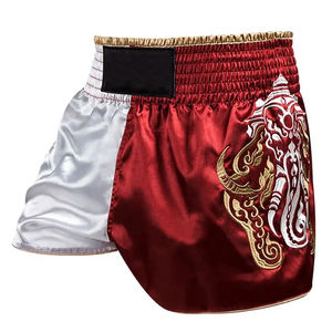 Pantalones Cortos de Artes Marciales Bordados con Ribete Dorado, Transpirables, Elásticos, Casuales, con Cintura Elástica, 100% Poliéster, Personalizados - Product Image 1