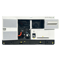 Générateurs diesel silencieux 15KVA 25KVA 40KVA 50KVA 100KVA avec générateur dynamo AVR 220/380/415V Groupe électrogène pour la production d'électricité