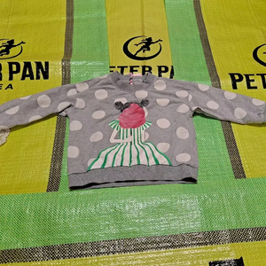 Ropa Usada: Ropa de Primavera para Niños - Product Image 2