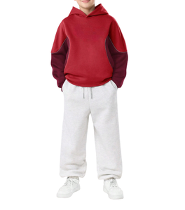 Sweat à capuche streetwear vierge, épais, oversize, en molleton, décontracté, 100% coton, haute qualité - Product Image 1