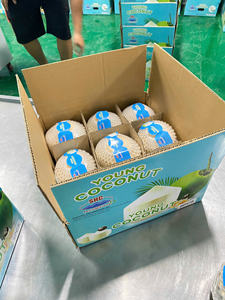 Noix de coco vietnamienne taillée au diamant de qualité supérieure avec eau douce pure prête à servir emballée pour l'exportation, vente en gros et vente au détail - Product Image 4