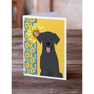 การ์ดอวยพรเปล่าขนาด5x7พร้อมซองจดหมายสำหรับข้อความซันฟลอราเดอร์รีทรีฟเวอร์8แพ็ค A7แปลกๆขนาด5x7ฤดูร้อน - Product Image 2