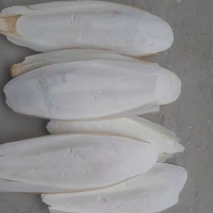 Hueso de Sepia Premium de 4-6 Pulgadas, Empaque en Blíster, 100% Natural, Fuente de Calcio para el Cuidado de Picos de Aves, 21 - Product Image 5